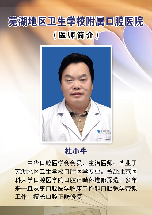 杜小牛